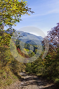 Dirt road thru Dilijan National Park