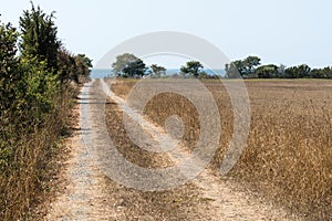 Dirt road to the coast