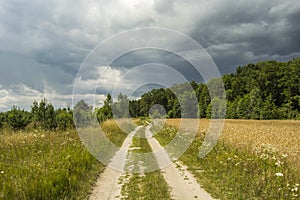 Dirt road to the forest and storm clouds