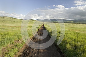 Dirt road to infinity through green grasslands of Lewa Wildlife Conservancy in North Kenya, Africa