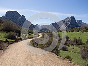 Dirt road to mountains with green grass meadows and blue sky