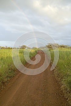 Dirt road to a rainbow through green grasslands of Lewa Wildlife Conservancy in North Kenya, Africa