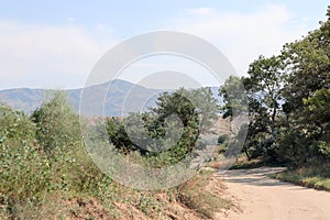 Dirt road to Sarykum largest sand dune in Europe under hot summer sky