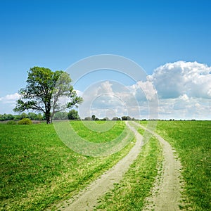 Dirt road and tree on horizon