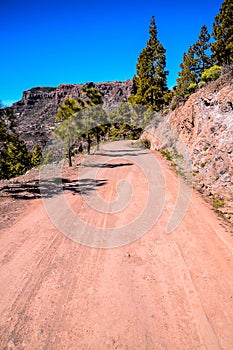 A dirt road with trees in the background