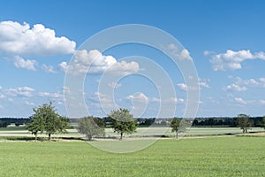 Dirt road with trees in Bavaria