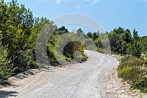 Dirt road turning left