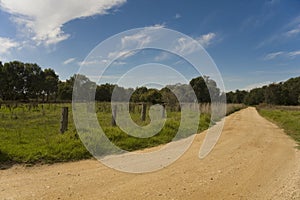 Dirt road under blue sky