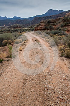 Dirt Road into the Utah Desert