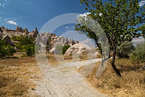 Dirt road through a valley with rock formations