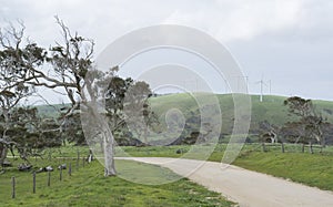 Dirt Road and Wind Turbines, Fleurieu Peninsula, South Australia