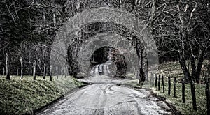 Dirt road winding along fields