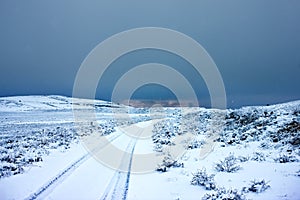 Dirt road in winter in the backwoods