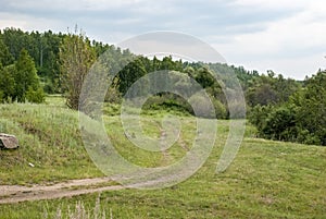 Dirt road in the wood