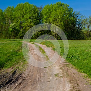 Dirt road and woods