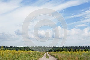 Dirt road yellow field blue sky