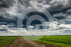 Dirt road through a young wheat field, dark sky
