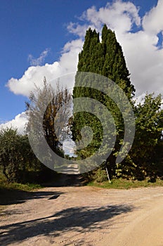 Dirt Roads and Pathways in Tuscany Italy