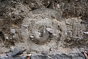 Dirt, roots and stones texture background