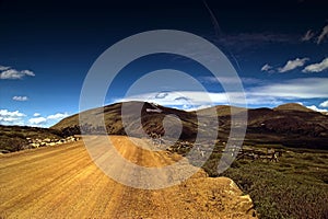 Dirt Rural Country Mountain Road in Colorado