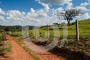 Dirt rural road