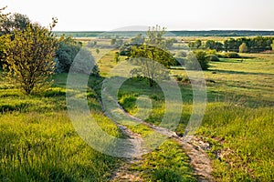 A dirt rural road leads to a river valley with meadows and trees in the countryside