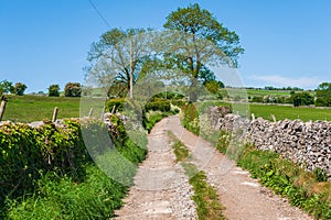 Dirt rural road with stone walls running along the green fields