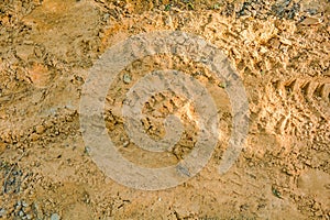 Dirt and sand in random with small stones. Close-up of sand soil background