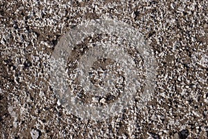 Dirt and stone surface