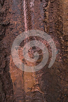 Dirt texture with tyre marks