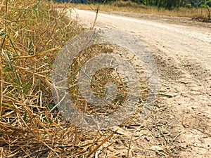 Dirt tire track in local country