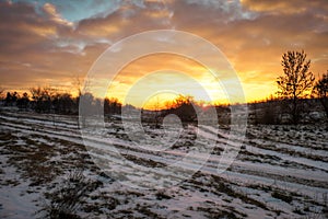 Dirt track through a field of snow at dawn or dusk.