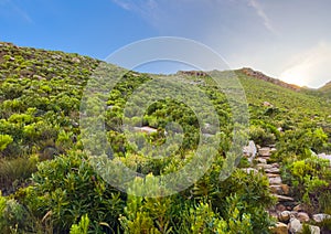 Dirt Track hiking paths on top of a mountain by the coast