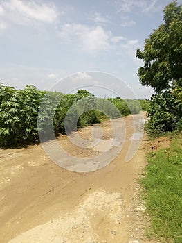 Dirt track! Indian vellege