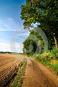 Dirt track road next to forest and plowed field. Calm and silence of countryside.