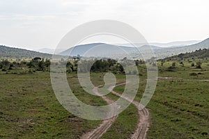 Dirt track roads for safari vehicles to travel through the Masaai Mara Reserve in Kenya, for safari toursits to go on game drives