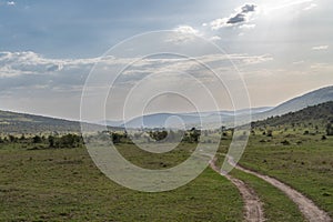 Dirt track roads for safari vehicles to travel through the Masaai Mara Reserve in Kenya, for safari toursits to go on game drives