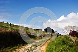 Dirt track to farm gate