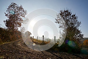 Dirt track winding, contre-jour midday with blue sky