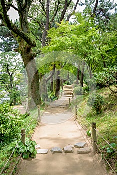 Dirt trail leads through a beautiful garden Japan