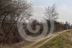 Dirt trail in a park in the countyside on a cloudy day