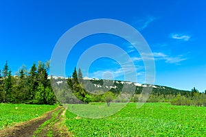 Dirt walking path to the plateau Zyuratkul