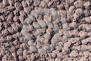 Dirt wall texture