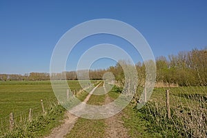 Dirtroad along fenced meadows in the Flemish countryside