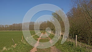 Dirtroad along fenced meadows in the Flemish countryside