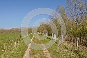 Dirtroad along fenced meadows in the Flemish countryside