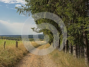 Dirtroad along forest and meadow in the  wallonian countryside.