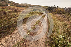 Dirtroad in the countryside