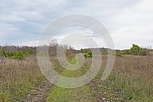 Dirtroad through the fields of Pakri peninsula, PAldiski, Estonia