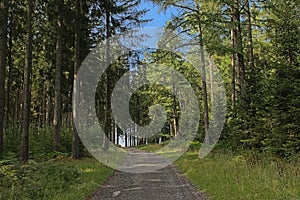 Dirtroad in the forest in the  wallonian countryside.